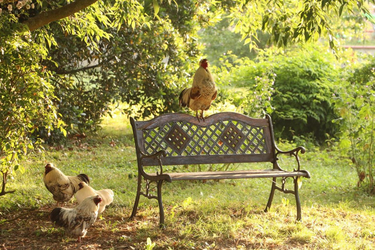 La Closerie De L'Autan Fenouillet  Dış mekan fotoğraf